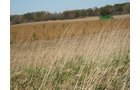 Property photo 31 - 110+/- Acres offered in 4 Tillable Tracts